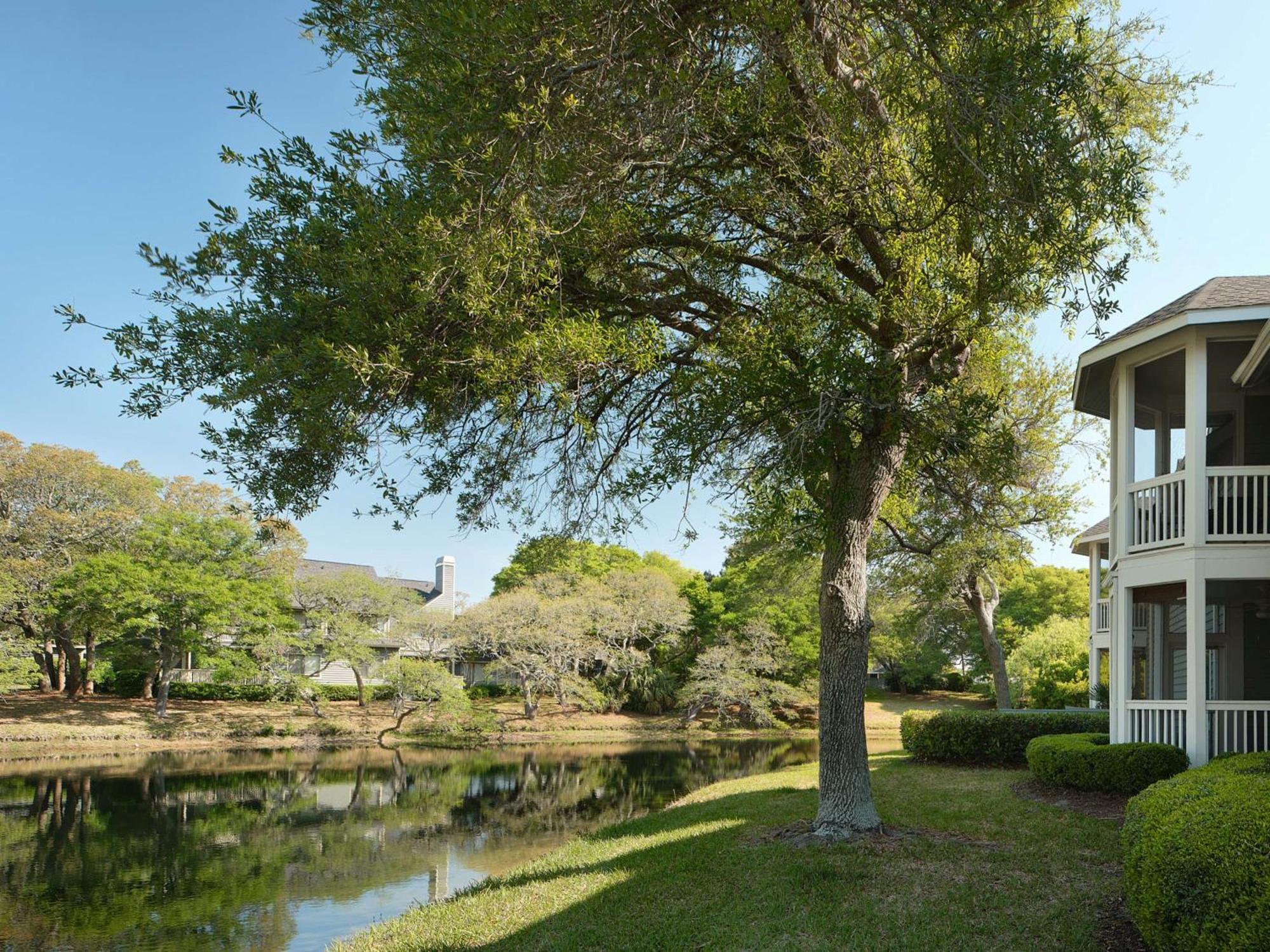 Kingston Plantation Condos Briarcliffe Acres Εξωτερικό φωτογραφία